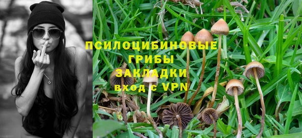 соль ск Балабаново