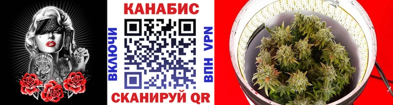 сколько стоит  darknet формула  Шишки марихуана White Widow  Костомукша 